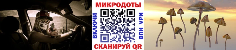 Галлюциногенные грибы мухоморы Елец
