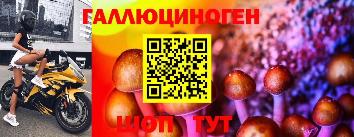 Псилоцибиновые грибы ЛСД  Вход с VPN  Псилоцибиновые грибы Psilocybine cubensis  Елец 